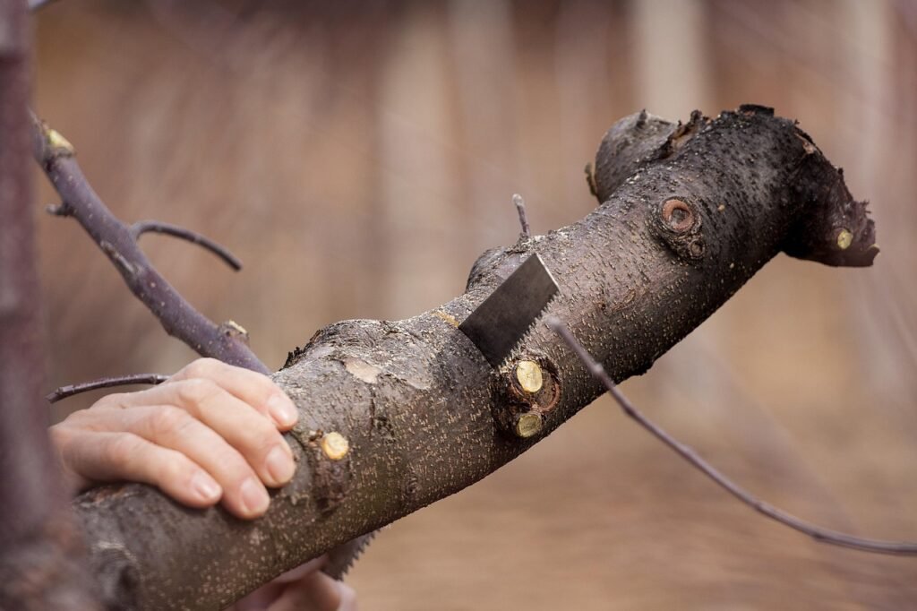 A folding survival saw cutting through tree limb.