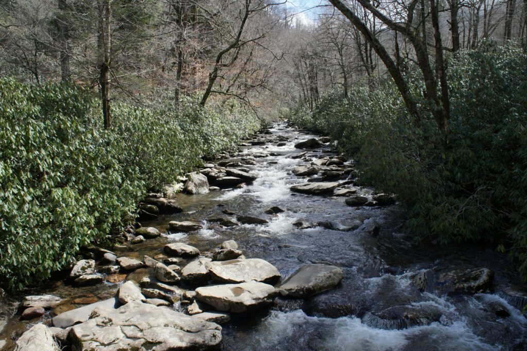 A peaceful forest stream winding through rocky terrain in the United States, perfect for nature enthusiasts.